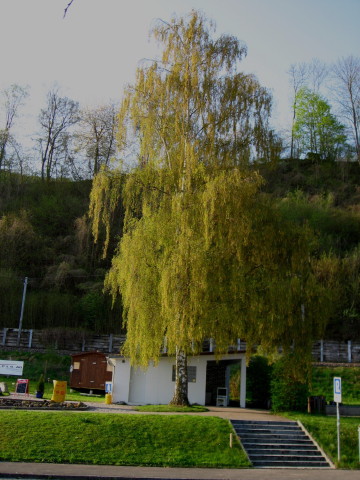091939_Kurze_Rast.jpg