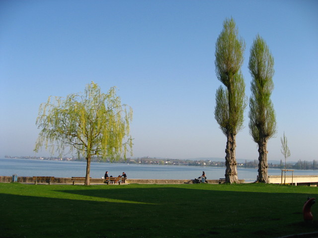 091947_Bodensee.jpg