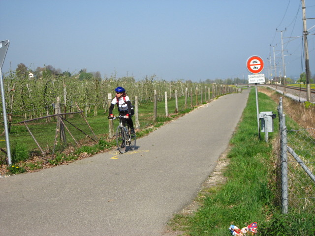 091949_nach_rechts___.jpg