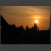 091886_Sonnenbaum.jpg