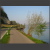 091940_am_Untersee.jpg