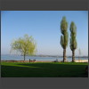 091947_Bodensee.jpg