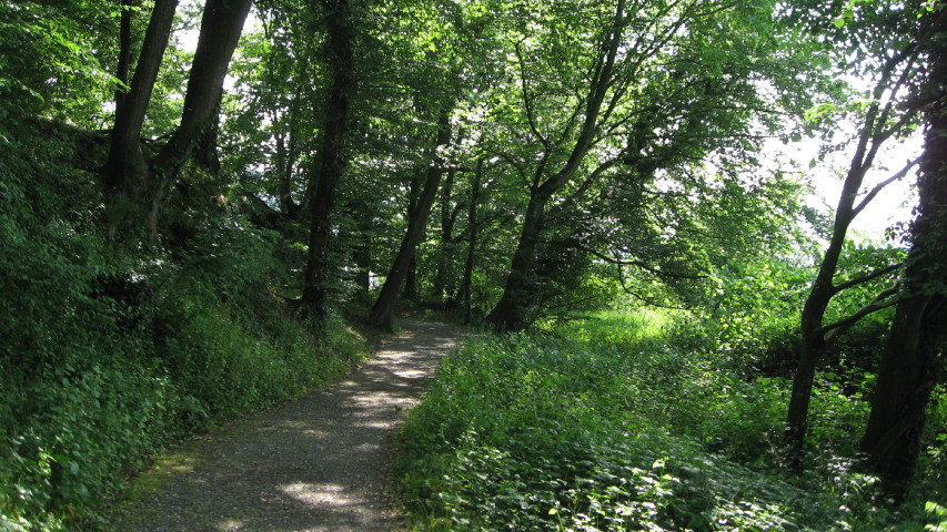 092303_Weg_um_die_Insel.jpg