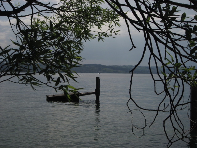092307_Durch_die_Blaetter.jpg