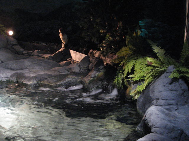 092025_Aquarium.jpg