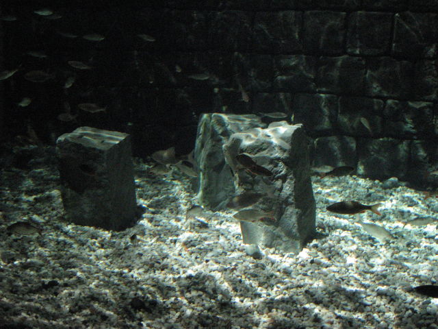 092027_Hafengrund.jpg