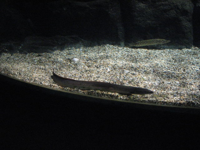 092033_Aal.jpg