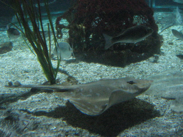 092070_Rochen.jpg