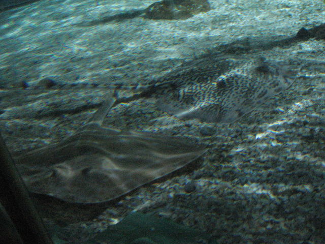 092071_Rochen.jpg