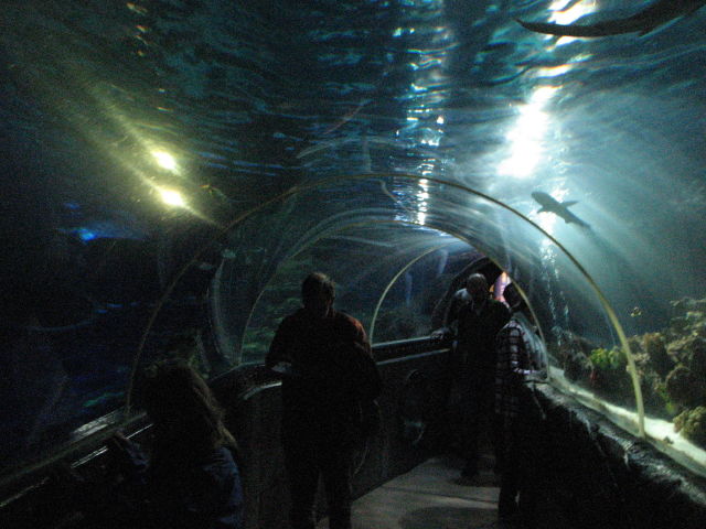 092112_im_Tunnel.jpg