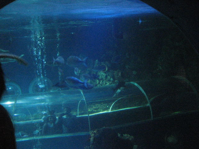092128_Tunnel_von_aussen.jpg
