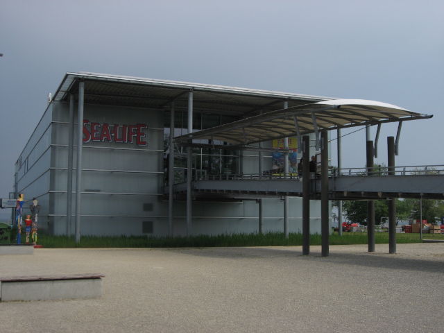 092142_Sea_Life.jpg