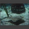 092070_Rochen.jpg