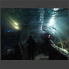 092112_im_Tunnel.jpg