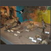 092138_Tiere_der_Schweiz.jpg