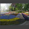 092165_Blumenbeete.jpg